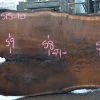 Goby Walnut Green Slabs Oregon Black Walnut Slab 101515-10