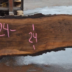 Goby Walnut Products 101519-09 Black Walnut Slab Green Slabs