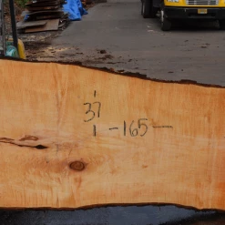 Goby Walnut Products Big Leaf Maple Slab 101720-01