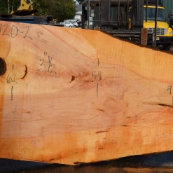 Goby Walnut Products Green Slabs Big Leaf Maple Slab 101720-02