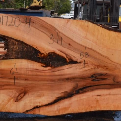 Goby Walnut Products Big Leaf Maple Slab 101720-04 Green Slabs