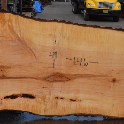 Goby Walnut Products Big Leaf Maple Slab 101720-04 Green Slabs