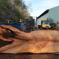 Goby Walnut Products Big Leaf Maple Slab 101720-06 Green Slabs