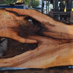 Goby Walnut Products Big Leaf Maple Slab 101720-06 Green Slabs