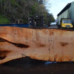 Goby Walnut Products Big Leaf Maple Slab 101720-07 Green Slabs