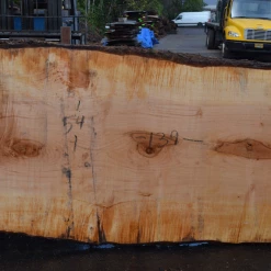 Goby Walnut Products Big Leaf Maple Slab 101720-07 Green Slabs