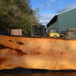 Goby Walnut Products Big Leaf Maple Slab 101720-08 Green Slabs