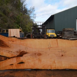 Goby Walnut Products Big Leaf Maple Slab 101720-09 Green Slabs