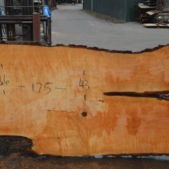 Goby Walnut Products Green Slabs Big Leaf Maple Slab 101720-11