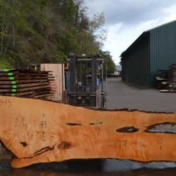 Goby Walnut Products Big Leaf Maple Slab 101720-13 Green Slabs