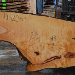 Goby Walnut Products Big Leaf Maple Slab 101720-13 Green Slabs