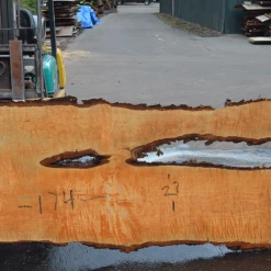 Goby Walnut Products Big Leaf Maple Slab 101720-13 Green Slabs