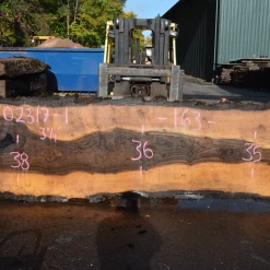 Goby Walnut Oregon Black Walnut Slab 102317-01 Green Slabs