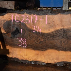 Goby Walnut Oregon Black Walnut Slab 102317-01 Green Slabs