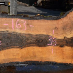 Goby Walnut Oregon Black Walnut Slab 102317-01 Green Slabs