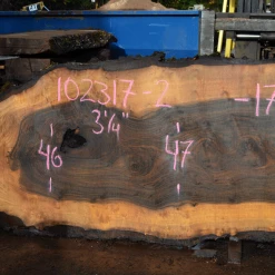 Goby Walnut Green Slabs Oregon Black Walnut Slab 102317-02