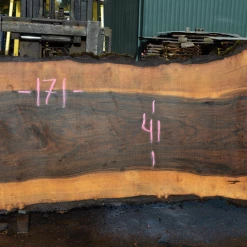 Goby Walnut Green Slabs Oregon Black Walnut Slab 102317-02