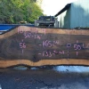 Goby Walnut Green Slabs Oregon Black Walnut Slab 102317-04