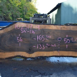 Goby Walnut Green Slabs Oregon Black Walnut Slab 102317-04