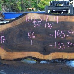 Goby Walnut Green Slabs Oregon Black Walnut Slab 102317-04