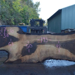 Goby Walnut Oregon Black Walnut Slab 102317-06 Green Slabs