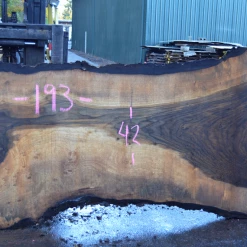 Goby Walnut Oregon Black Walnut Slab 102317-06 Green Slabs