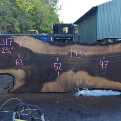 Goby Walnut Green Slabs Oregon Black Walnut Slab 102317-07