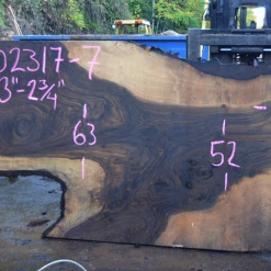 Goby Walnut Green Slabs Oregon Black Walnut Slab 102317-07
