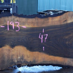Goby Walnut Green Slabs Oregon Black Walnut Slab 102317-07