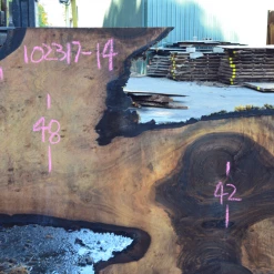 Goby Walnut Oregon Black Walnut Slab 102317-14 Green Slabs