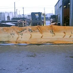 Goby Walnut Green Slabs Oregon Fir Slab 102516-01