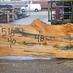 Goby Walnut Green Slabs Oregon Fir Slab 102516-03
