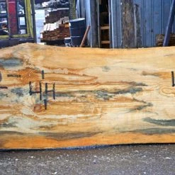 Goby Walnut Green Slabs Oregon Fir Slab 102516-03