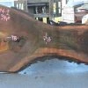 Goby Walnut Oregon Black Walnut Slab 102714-01