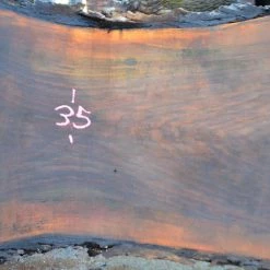 Goby Walnut Oregon Black Walnut Slab 102714-02