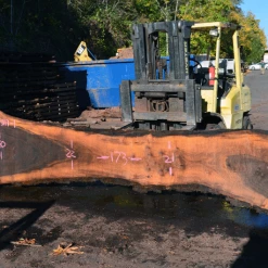 Goby Walnut Products Green Slabs Oregon Black Walnut Slab 103117-01