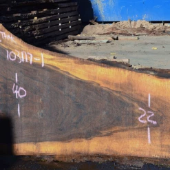 Goby Walnut Products Green Slabs Oregon Black Walnut Slab 103117-01