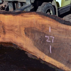 Goby Walnut Products Green Slabs Oregon Black Walnut Slab 103117-01