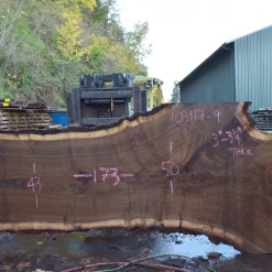 Goby Walnut Products Green Slabs Oregon Black Walnut Slab 103117-09