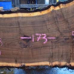 Goby Walnut Products Green Slabs Oregon Black Walnut Slab 103117-09