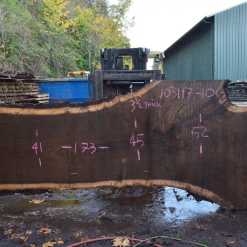 Goby Walnut Products Oregon Black Walnut Slab 103117-10 Green Slabs