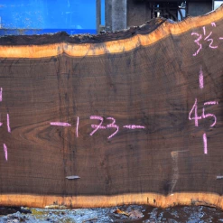 Goby Walnut Products Oregon Black Walnut Slab 103117-10 Green Slabs