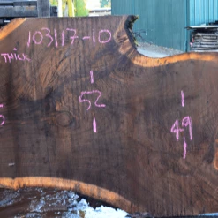 Goby Walnut Products Oregon Black Walnut Slab 103117-10 Green Slabs