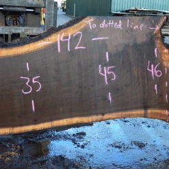 Goby Walnut Products Green Slabs Oregon Black Walnut Slab 103117-12