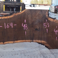 Goby Walnut Products Oregon Black Walnut Slab 103117-13 Green Slabs