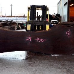 Goby Walnut Green Slabs Oregon Black Walnut Slab 110315-01