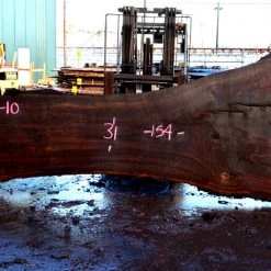 Goby Walnut Oregon Black Walnut Slab 110315-10 Green Slabs