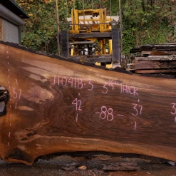 Goby Walnut Green Slabs 110418-03 Oregon Black Walnut Slab