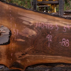 Goby Walnut Green Slabs 110418-03 Oregon Black Walnut Slab