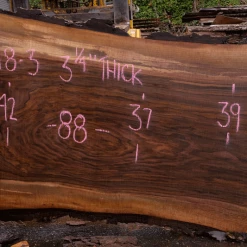 Goby Walnut Green Slabs 110418-03 Oregon Black Walnut Slab